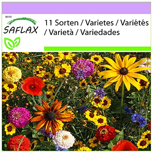 SAFLAX - Wildblumen: Kinderspaß - 1000 Samen - 11 Wildflower Mix