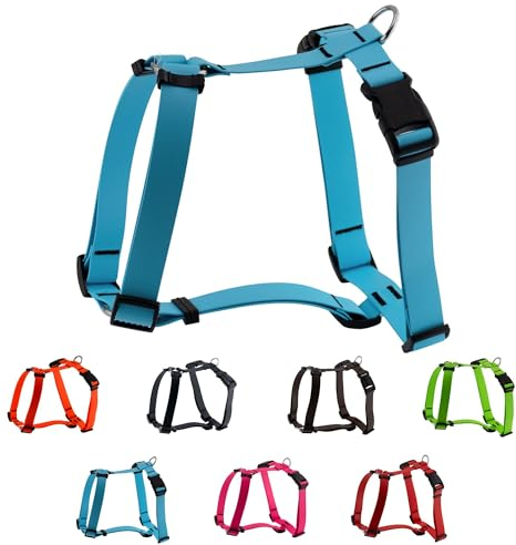 LENNIE Biothane Geschirr für Hunde, wasserdicht, verstellbar, H-Geschirr, Hundegeschirr, Führgeschirr, Größe M, Cyan/Türkis