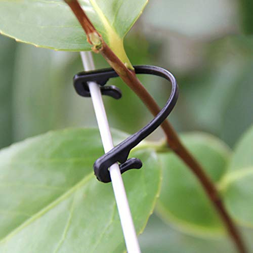 Dantazz 50PC Pflanzenclips Pflanzenklammern Kunststoff Pflanzen Clips Gartenpflanzenclip Feste Schnalle Pflanzenringe Pflanzenchnalle für Gemüse Tomate Pflanze Unterstützung und Befestigung (Schwarz)