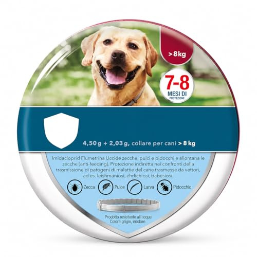Collare Antiparassitario per Cani, Protezione da Pulci e Zecche fino a 7-8 Mesi, Medicinale Veterinario con Imidacloprid e Flumetrina, Disponibile per Cani Piccoli e Grandi