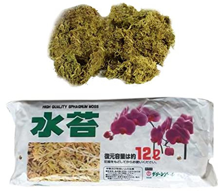 Uozonit 3 Muschio di Torba | Terreno di substrato di Coltivazione Fuori Suolo - per terriccio di Orchidee, terriccio per Orchidee, per rinvaso di umidità, Terreno Medio