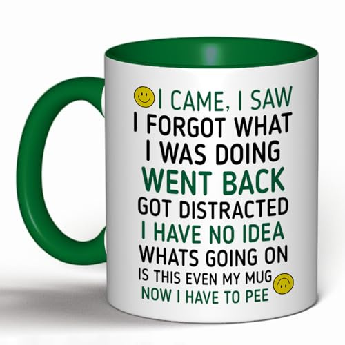 Funny 'I Came, I Saw, I Forgot' Coffee Mug – Humorous Gift for Men & Women, Perfect for Birthday Gifts, Christmas Presents & Office White Elephant (Dark Green)