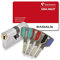 Vachette 599103 RADIALis-Cilindro de Cerradura Desmontable SYNKRO, 5 mm INOX, Seguridad máxima, Exterior, Puerta de Entrada, 4 Llaves no copiables, Tarjeta de Propiedad, Acero Inoxidable, 42,5x42,5