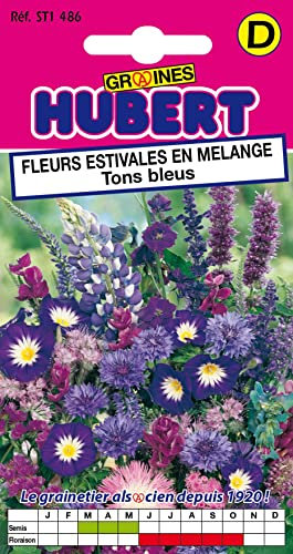 Graines de Fleurs Estivales en Mélange Tons Bleus Pour 1 m² - 2 grammes