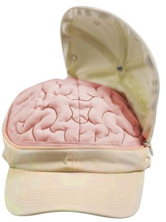 Ylnailky Sombrero - Gorro De Fiesta | Accesorio De Disfraz Con Diseño De Cerebro Abierto Y Cerrado Para Actividades Al Aire Libre Viajes Senderismo Fiesta Cumpleaños