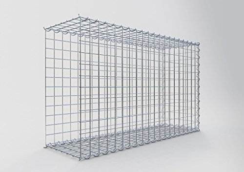 GABIONA Cesta de piedra de gavión rectangular, malla de 5 x 5 cm, profundidad de 30 cm, cesta de cultivo tipo 2, cierre de espiral, galvanizado (100 x 60 x 30 cm)