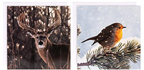 Hallmark Weihnachtskarten-Set für Wohltätigkeitsorganisationen, 10 Karten in 2 Designs der Fotogalerie-Kollektion