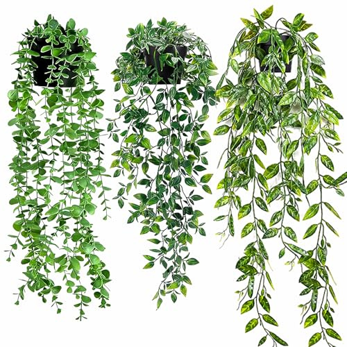 Aurevita Piante Artificiali Pendenti Dutch Bean, Mandala e Foglie di Eucalipto, Piante Finte per Soggiorno, Parete, Casa e Terrazza, Decorazione Estetica (3 pz)