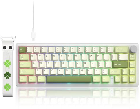 LQXQ VK66 PRO 60 % speltangentbord med kabel, VIA Creamy mekaniskt tangentbord, hotswap-aktiverat RGB-tangentbord med gasket Mount och genomskinliga tangentkåpor (grön)