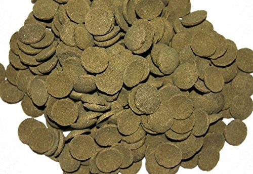 Hausmarke Welschips Algae Wafers Plecos für Welse Corydoras Futtertabletten Spirulina Welsfutter (1000 ml)