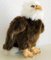 Weißkopfseeadler Adler 26 cm Schmusetier Plueschtier Kuscheltier EAGLE