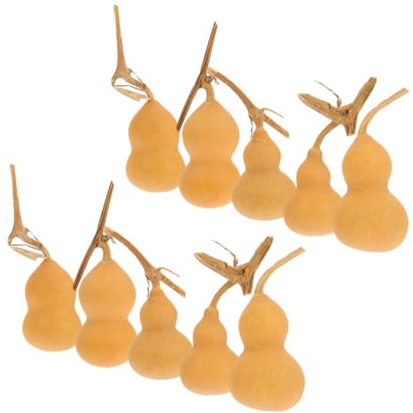 Healifty 10 Pezzi Zucche Ornamentali Naturali Mini da 4-6 Cm, Decorazioni Artigianali per Casa, Ufficio e Negozio, Leggero e Facile da Posizionare, Idee Regalo Simboliche