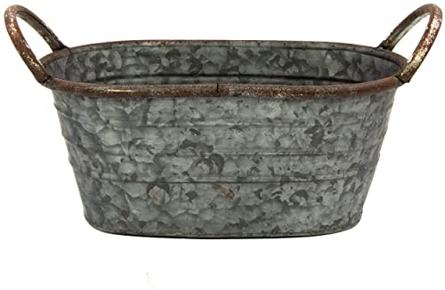 Blümelhuber Verzinkte Wanne - Schale zum Bepflanzen - Garten Deko Draußen - Wasserwanne Miniteich Balkon Deko (30cm)