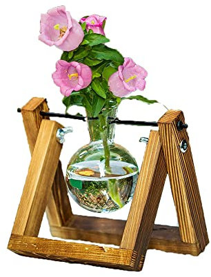 zalati Plant Terrarium Plant Propagation Station with Wood Rack for Hydroponics Home Garden Office Decoration - 1 Pot