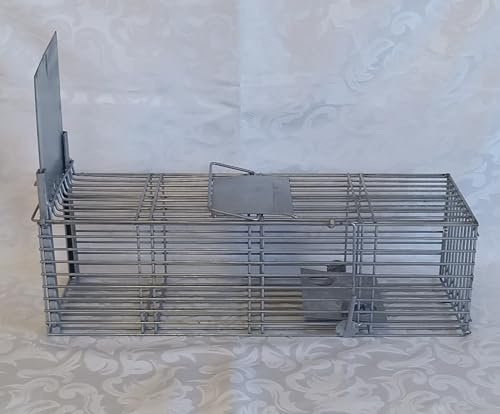 Boite piège 1 entrée Contre Les Rats Gris et Noir