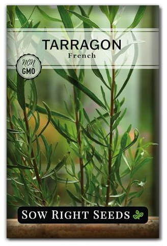 Sow Right Seeds - French Tarragon Seeds for Planting - Non-GMO Heirloom Packet with Instructions to Plant an Outdoor or Indoor Herb Garden - Culinary Leafy Green - Long Lasting Perennial Seasoning (1)