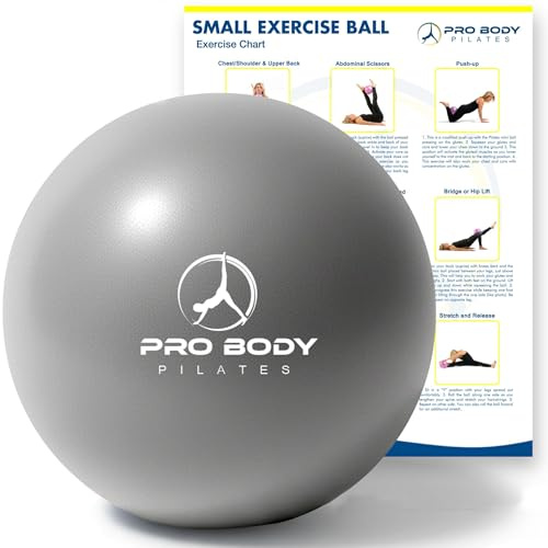 ProBody Pilates Mini Balle d'exercice Douce de 9 Pouces pour stabilité, Barre, abdominaux, cœur, physiothérapie et thérapie Physique à la Maison, Salle de Sport et Bureau (Argent)