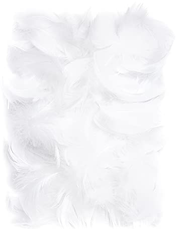 Netuno 150 Stück Flaum Federn Weiß 10 g Natur Schmuckfedern zum DIY Basteln Dekoration für Ostern Weihnachten Figuren Dekofigur Karneval