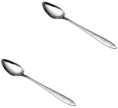 2 cucharas plateadas de acero inoxidable para pomelo con borde dentado, cucharas de pomelo, cucharas chawanmushi, cucharas chinas, cucharas de caviar, cucharas especiales, cucharas