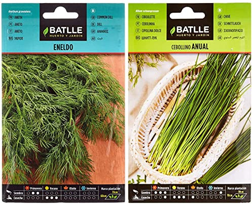 Semillas Batlle - Eneldo - Anethum graveolens, Color Verde & Cebollino anual
