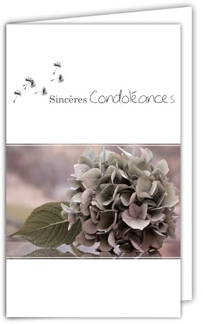 24-1006-B Carte Sincères Condoléances avec Enveloppe Blanche 10x16,5cm - Fleur Hortensia Graines de Pissenlit Moderne Contemporain Design Épuré Gris Rosé Argenté Brillant Deuil Décès
