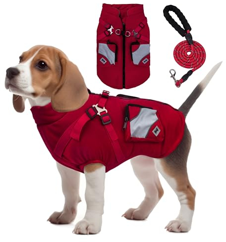 Winter Hundemantel, Warme Hundebekleidung mit Leine, Hundebekleidung & Zubehör für kleine Hunde, Es ist EIN Hundejacke Geschenk für Hunde (XL, Rot)