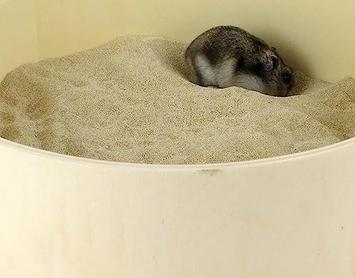 Getzoo Sabbia da bagno – cincillà sabbia 2 kg I cura speciale per pelliccia e artigli, applicazione versatile, 100% sabbia sepiolite, adatta per diversi roditori ed esotici (2 kg)
