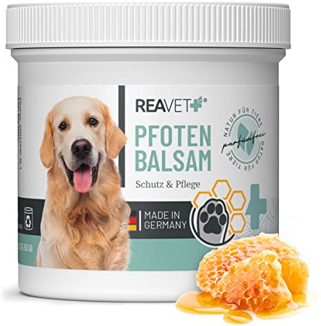 ReaVET Pfotenbalsam Hund & Katze 120ml – Natürliche Pfotenpflege mit Sheabutter, Kokosöl & Bienenwachs I Pfotenschutz Creme, Zubehör für Winter & Sommer