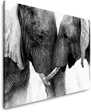 Paul Sinus Art Elefanten 120x 80cm Inspirierende Fotokunst in Museums-Qualität für Ihr Zuhause als Wandbild auf Leinwand in