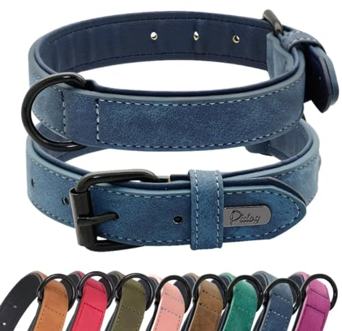 Didog Hundehalsband aus weichem, gepolstertem Leder, strapazierfähiges Hundehalsband aus Leder mit Verstellbarer, rostfreier Metallschnalle für kleine, mittelgroße und große Hunde, Blau, XL