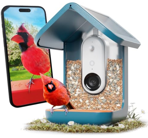 Birdbuddy PRO Solar Smart Bird Feeder with Camera - AI Bird Species Identification, 5MP Photos, 2K HD Video Live Stream Camera, Slow-Motion Video, 2.6in Focus - Blue Solar