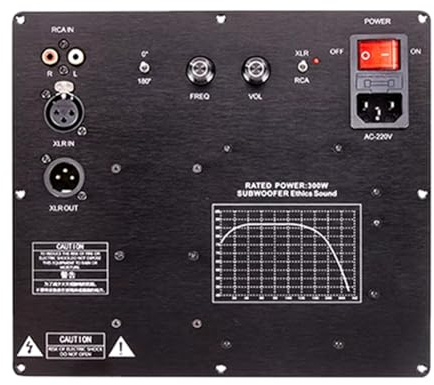 Reinscer Nouvelle mise à niveau TPA3255 Caisson de basses Haut-parleur actif Carte d'amplification numérique active Pure Système audio domestique