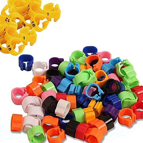 Pamtns 200 Pièces Bague Pigeon Pied de Pigeon Multicolores en Plastique Clip Bague Oiseau Anneaux pour Oiseaux Anneaux pour Pied d'Oiseau Anneaux en Plastique Pigeon d'Oiseau Bague