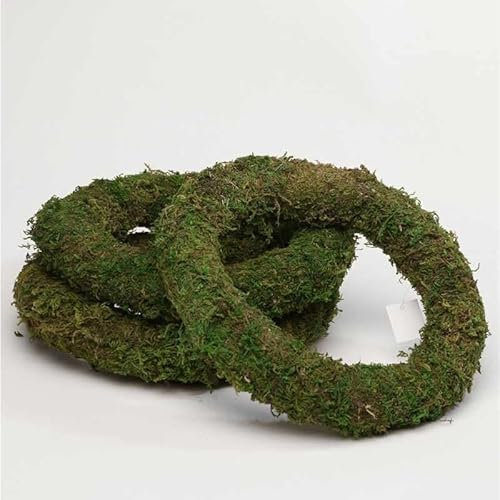 Floralcraft 8 (20cm) Moss Wreath Ring, Floristry Craft Supplies Moss Ring Bases and Frames for Wreath Making, Christmas Decorations, Funeral and Grave Arrangements