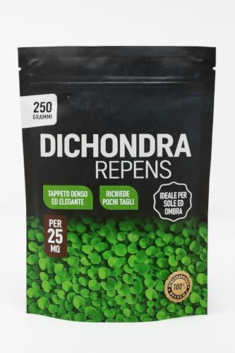 DICHONDRA - Dicondra Repens per 25 mq di prato 250 gr.