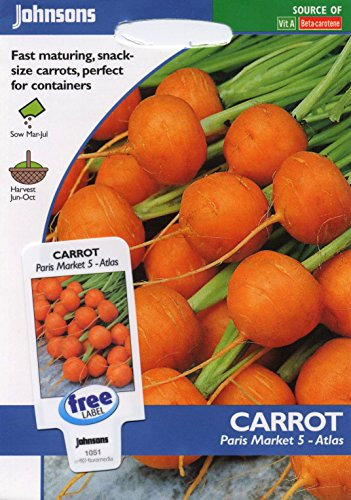 Johnsons Seeds - Pictorial Pack - Vegetable - Carrot Paris Market 5 (Atlas) - 1000 Seeds