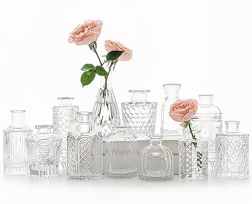 SUPMIND set med 12 st. små genomskinliga blomvaser för blomsterarrangemang, mini, vintage, vaser för bröllop, hem, bordsdekoration