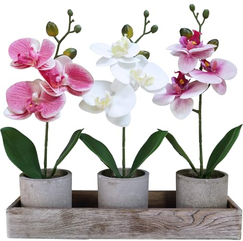 Winlyn Set of 3 Small Artificial Orchid Potted Plants Arrangement with Rustic Wood Planter Box Real Touch Faux Phalaenopsis Moth Orchid Flowers in Pots for Home Office Desk Shelf Table Centerpiece