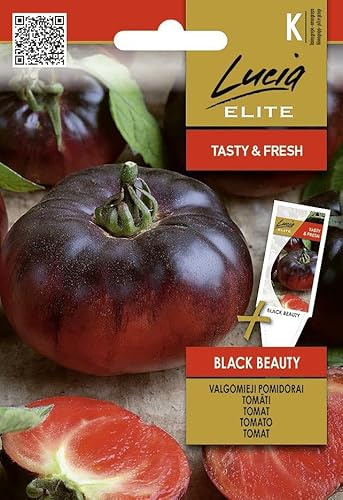 Lucia Elite | Tomate - BLACK BEAUTY Semillas de huerto | Tomates negros aromáticos | Variedad productiva para invernadero y jardín | Semillas de tomate | 1 sobre