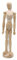 Paintersisters® Gliederpuppe 30cm hoch, Mannequin, Zeichenpuppe, aus feinem Samalholz – FSC, Zeichenpuppe aus Holz, Holzfigur, Holzpuppe