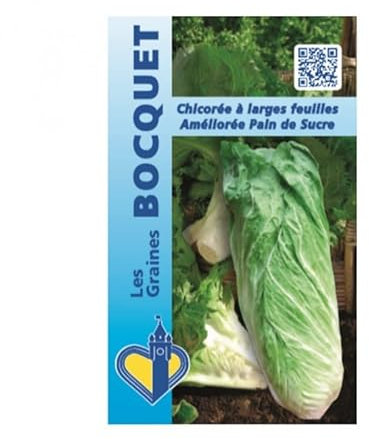 Sachet de graines de Chicorée à large feuille améliorée pain de sucre - 4 g - légume feuille - LES GRAINES BOCQUET
