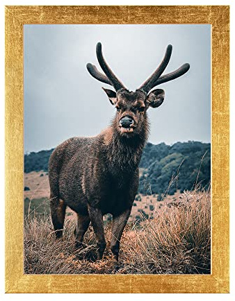 Rahmendesign24 Cornice per poster Milano 30x40 in foglia d'oro, fotogramma intercambiabile, cornice per immagini, cornice per puzzle