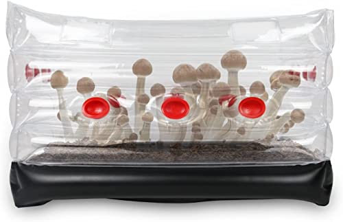 X - Grand kit de culture de champignons gonflables pour la maison - Sauvez vos sacs de culture de champignons