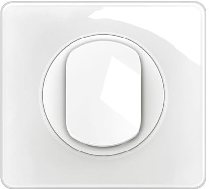 LEGRAND - Interrupteur Simple ou Va-et-vient + Plaque Céliane - 10A - Commande d'Eclairage Complète - Prêt à Installer - Blanc