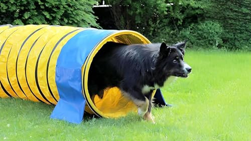 vabiono Profi Agility Tunnel für Hunde 5m – Ø60cm - 360° flexibel inkl. Stützsandsäcke – nach FCI-Standard – für Hundetraining, Agility Parcours & Wettkampf