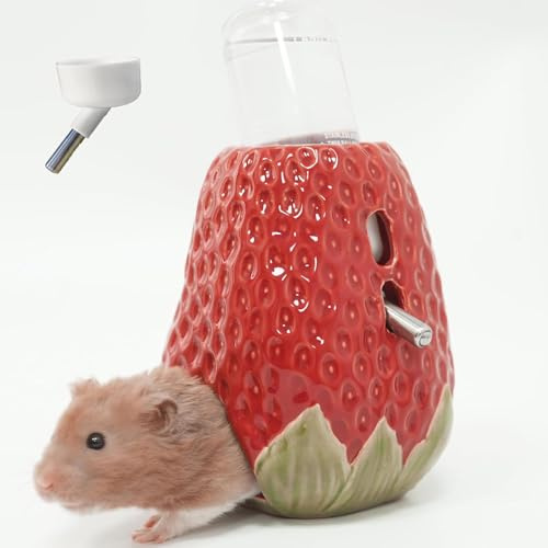 Kelivi Hamster Wasserflasche, Erdbeer Keramik Meeresschwein Wasserflasche für Glastank, 80ML Wasserflaschenhalter mit 2 Keine Tropfkappen für Syrische Zwerg Hamster Mäuse Gerbil(Red)
