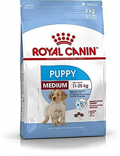 Royal Canin Medium Junior Trockennahrung für Hunde
