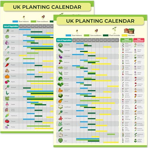 Gardening & Allotment Planting Calendar – Reusable Year-Round Seed Sowing & Harvest Guide – Waterproof Poster for Greenhouse or Shed – Perfect for Gardeners (Multicoloured, A3)