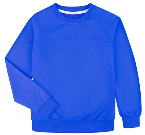BIG ELEPHANT Jersey para niños – 100% algodón sudadera niño suave doble capa manga larga para escuela y uso diario, sin logotipo, azul zafiro, 10-11 años
