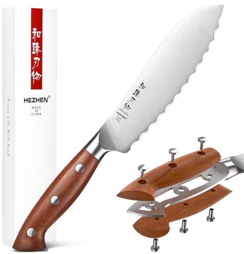 HEZHEN Acciaio Inox Coltelli da Pomodoro, Acciaio German ad Alto Tenore di Carbonio, Lama Seghetta Coltelli per Frutta e Verdura, Full Tang Manche